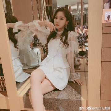疯狂动物雨官方下载